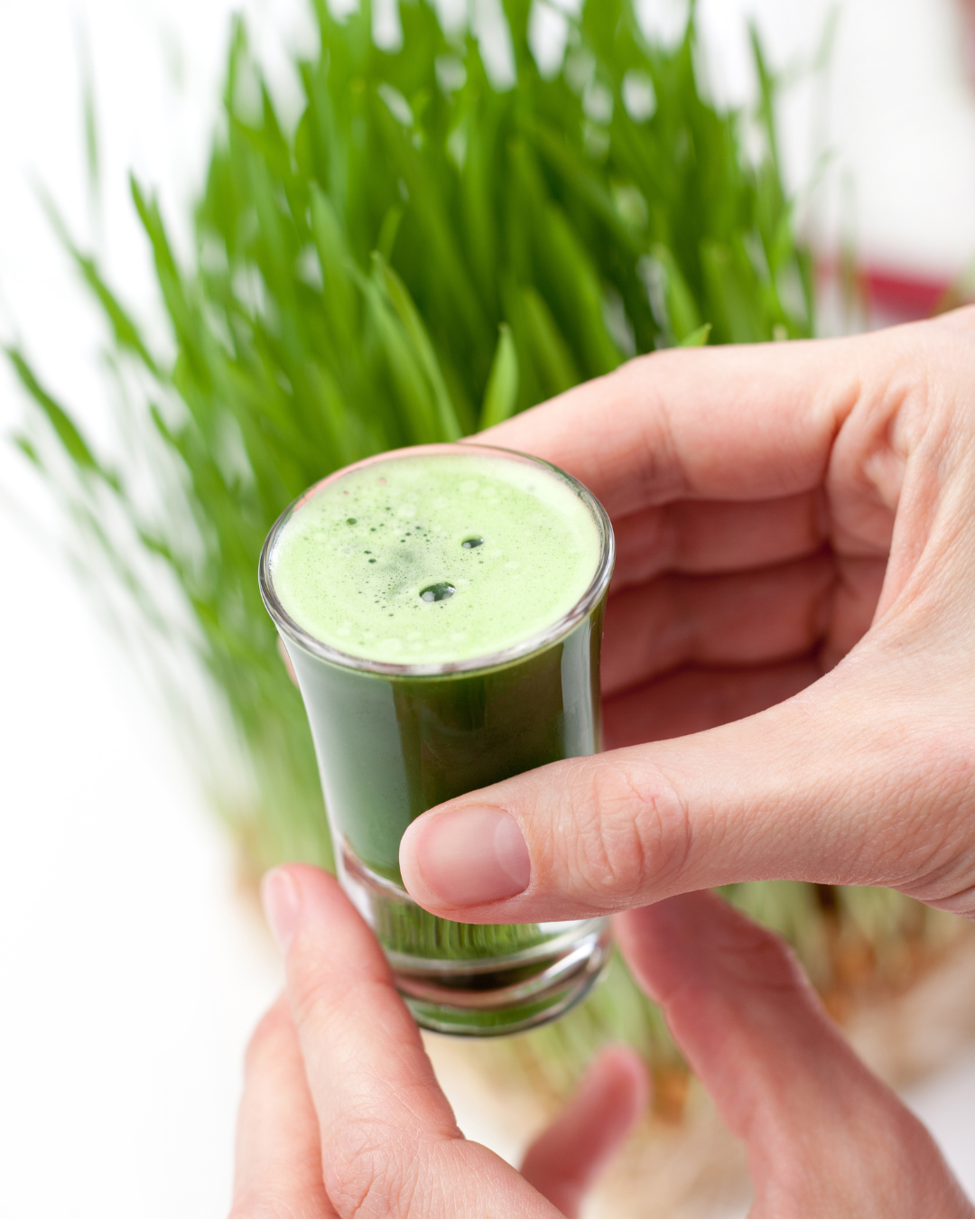 Cleanse and detox naturally with organic superfoods from Poshal