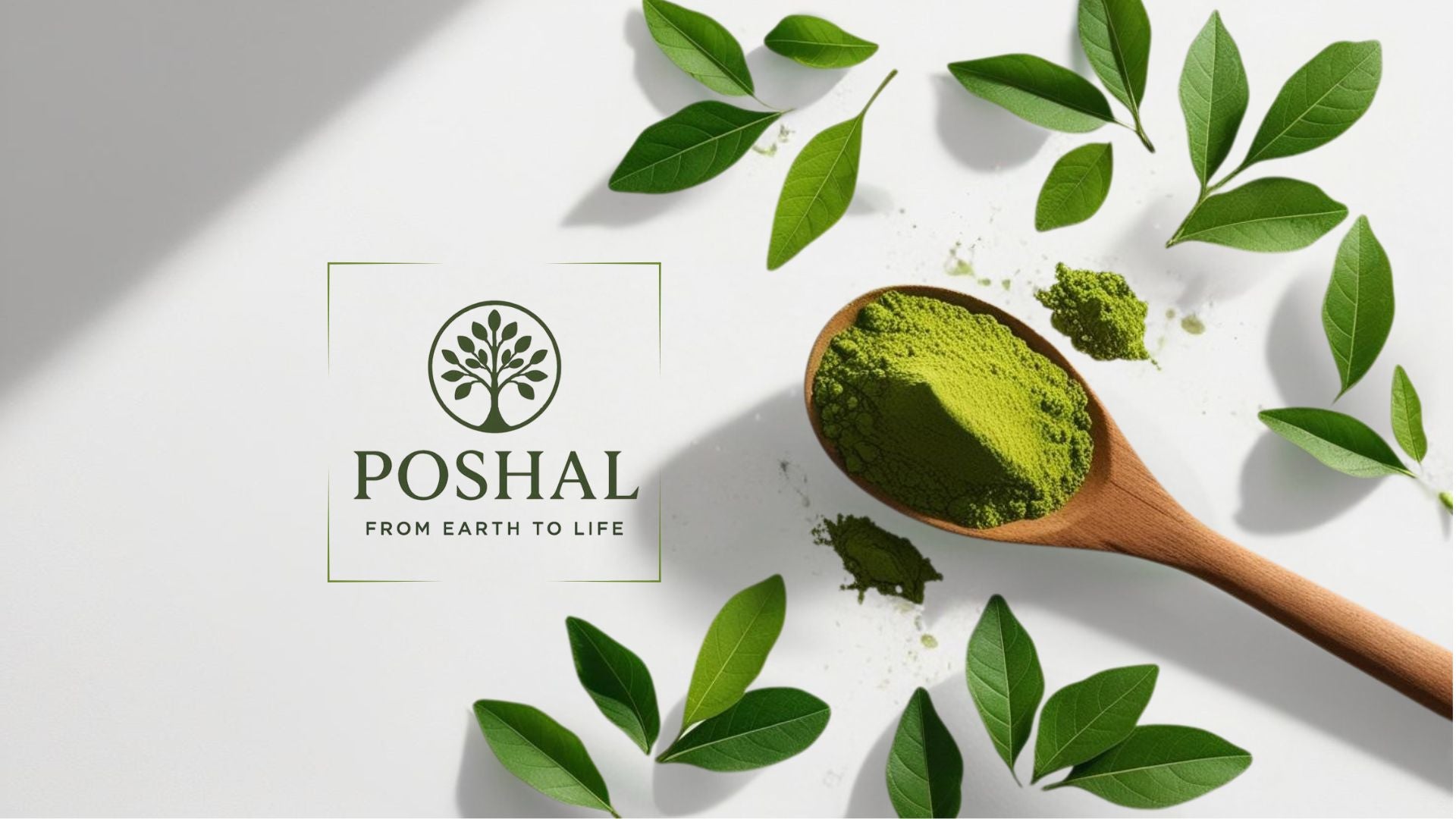 poshal-moringa-powder-collection-banner
